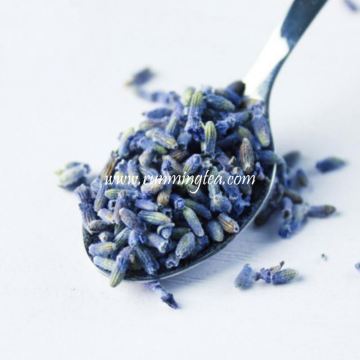 dried lavender flowers