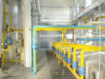 800t/d Cottonseed Protein Production Line