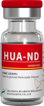 Newcastle Disease Live Vaccine Strain HB1 Water Soluble Powder