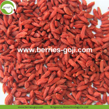 Wholesale Nutrition Super Food Low Pesticide Goji Berries