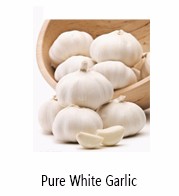 China farm fresh solo garlic