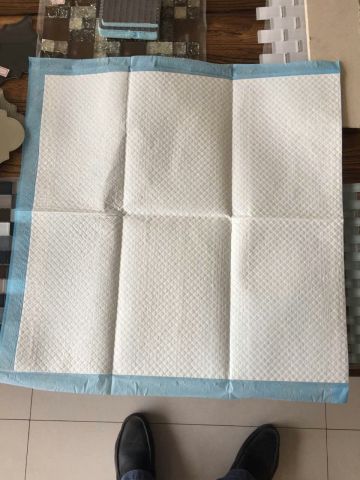 Nonwoven urine absorbent pet pad