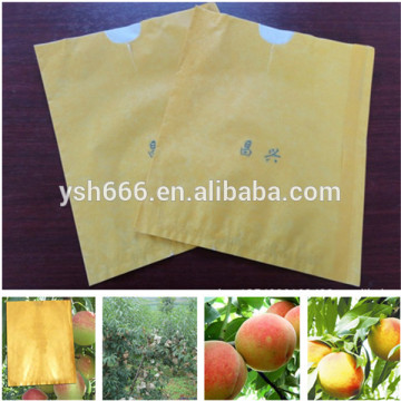 Fruit growing wrapping paper bags