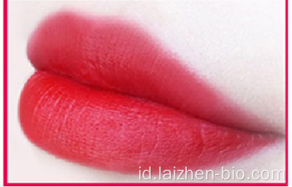 Grosir tanpa label Multi-warna matte lipgloss DOM / OEM