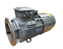 Tower Crane Hoist Brake Motor