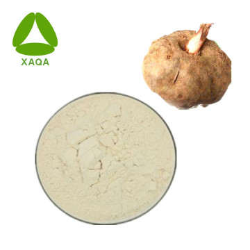 Conjac Glucomannan Powder CAS № 11078-31-2