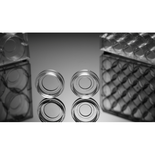 15mm glass bottom cell culture dish