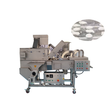 Fried Flour Coated Peanut Making Machine / Production Line