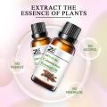 Calamus Essential Oil With High Quality Calamus oil