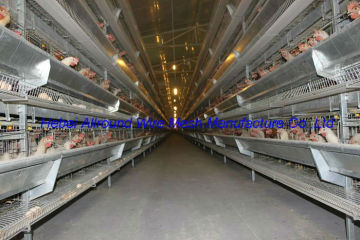 hot sale laying cage