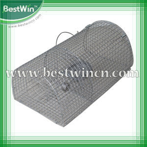 metal rat cage trap, folding rat cage, stainless steel mouse trap cage