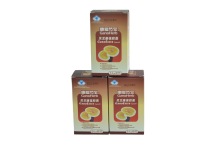 Red Reishi polysaccharides Ganoderma lucidum extract capsule