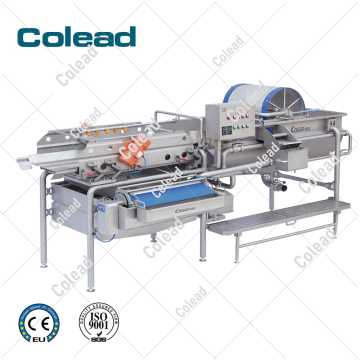 Industrial Washing Line Green Leaf Vegetable Washing Machine