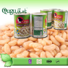 2016 canned beans 425g canned white beans in brine