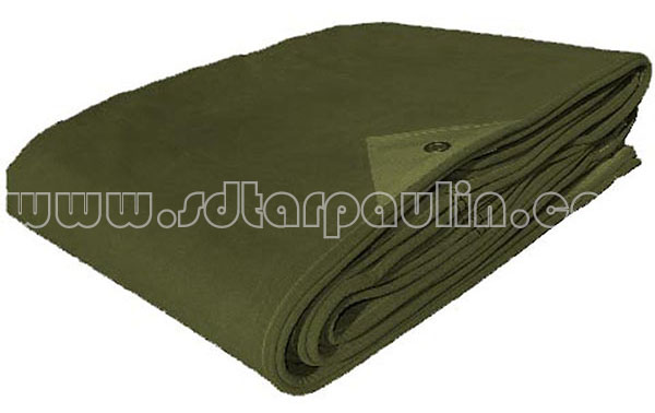 lona canvas