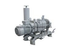 Latest Generation High-tech Screw Vacuum Pump