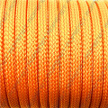 Anpassade färger 4mm flätad Nylon Paracord 550 £