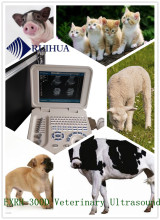 Amazing Portable Vet Pig,Dog ,Sheep,Cow Ultrasound device