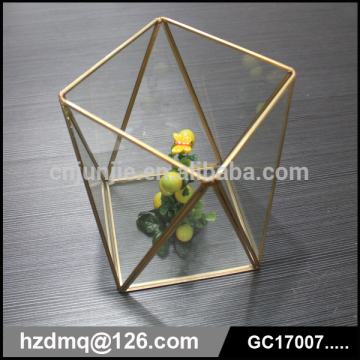 glass and brass box glass geometric terrariums