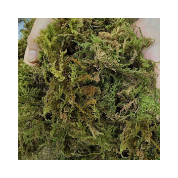 Compressed Sphagnum Moss Mat for Reptiles: Winter Hibernation Habitat