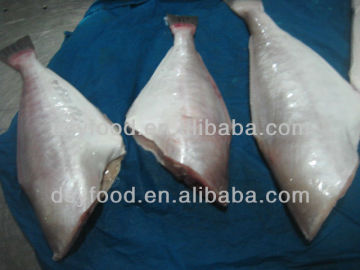 Frozen Skinned Fish Leather