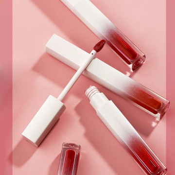 Velvet matte moisturizing lip gloss