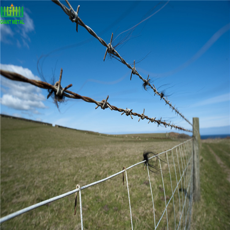 PVC Coated Barbed Wire Black Fence Wire
