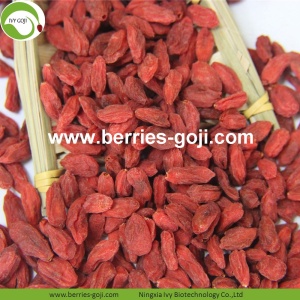 Pasokan Pabrik Buah Kering Menurunkan Berat Badan Goji Berry