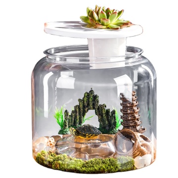 Small Plastic Turtle Tanks and Reptile Cages - 60 Gallon Terrarium Kit