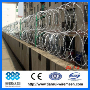 Electro/hot dipped galvanized Razor Wire(Professional Factory)