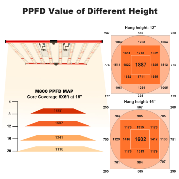 800W светодиод выращивает светло-полосу Гидропоническое помещение