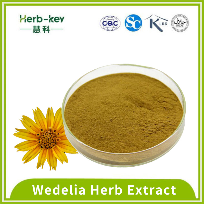 Containing chlorogenic acid 10:1 wedelia extract