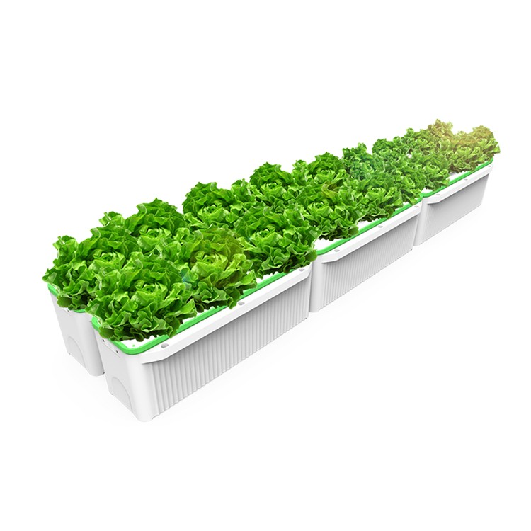 lndoor Automatic hydroponics for plant