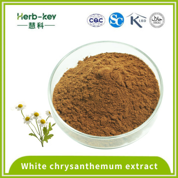 10:1 flavonoids compounds White chrysanthemum extract powder