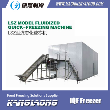 Hot Selling iqf frozen mango quick freeze machine with great price