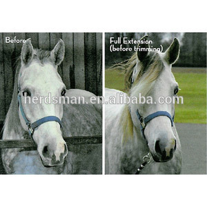 Clip attachment false horse mane extension