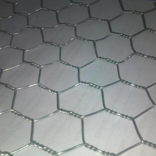 Grillage hexagonal de filet de volaille avec enduit de PVC