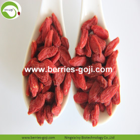 Bacche di Goji a basso contenuto di umidità e frutta di alta qualità