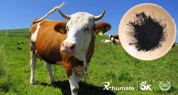 X-Humate Effectively Remove Moss Sodium Humate Powder for Animals Feed