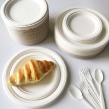 Compostable 6'' round bagasse plate