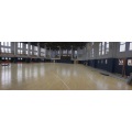 Impact Resistant Protective Wall Panels