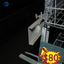 Fancy Canary Bird Cage And Bird Cage Decoration