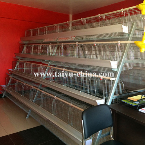Kenya Nairobi Warehouse 120 160 and 256 birds Chicken Layer Cage