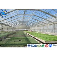 Filmes transparentes de HDPE para piscinas / agricultura / membrana impermeável