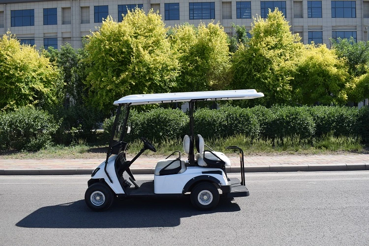 China 2 Seaters Shuttle Electric Vehicle Tourist Hotel Utility Electric Golf Car