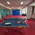 5.5 มม. Super Weaving Pattern Table Table Table Tennis