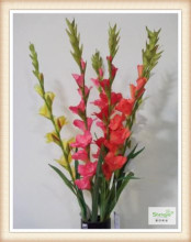 High Quality Artificial Decorative Beautiful Fashion and New Style , 9 heads Gladiolus