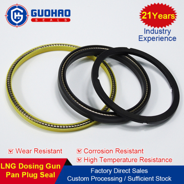 LNG Liquid Oxygen Filling Pump Sealing Ring