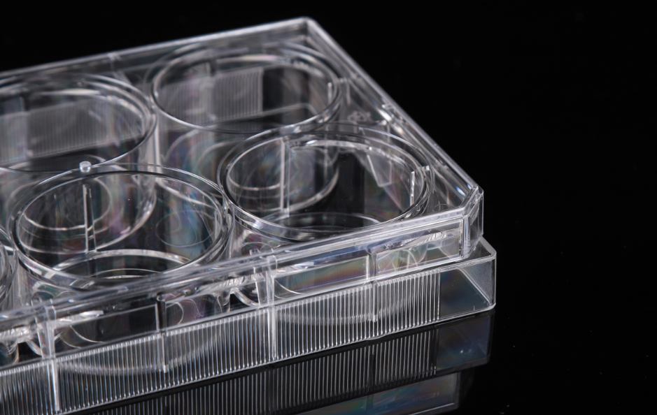 6 צלחות תרבית תאים תחתונה של זכוכית