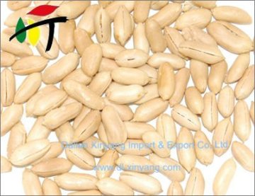 Wholesale fried roasted blanched peanut kernels